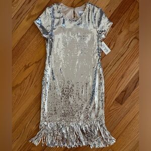 NWT Silver Party Dress